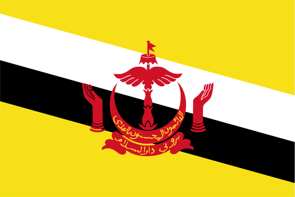 Country Flag